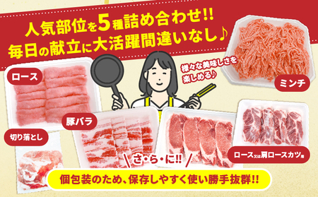 宮崎県産 豚肉 5種 セット (合計3kg) 国産 食品 豚バラ 切り落とし ロース スライス ミンチ 焼肉 BBQ しゃぶしゃぶ 生姜焼き とんかつ ソテー 豚丼 ハンバーグ 個包装 小分け おすすめ おかず お弁当 晩ご飯 手軽 便利 ギフト 贈り物 冷凍 日南市 送料無料_CC69-25