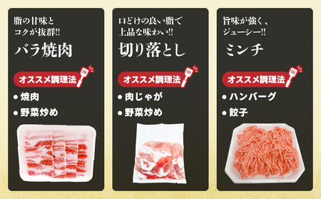 宮崎県産 豚肉 5種 セット (合計3kg) 国産 食品 豚バラ 切り落とし ロース スライス ミンチ 焼肉 BBQ しゃぶしゃぶ 生姜焼き とんかつ ソテー 豚丼 ハンバーグ 個包装 小分け おすすめ おかず お弁当 晩ご飯 手軽 便利 ギフト 贈り物 冷凍 日南市 送料無料_CC69-25
