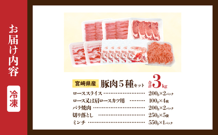 宮崎県産 豚肉 5種 セット (合計3kg) 国産 食品 豚バラ 切り落とし ロース スライス ミンチ 焼肉 BBQ しゃぶしゃぶ 生姜焼き とんかつ ソテー 豚丼 ハンバーグ 個包装 小分け おすすめ おかず お弁当 晩ご飯 手軽 便利 ギフト 贈り物 冷凍 日南市 送料無料_CC69-25