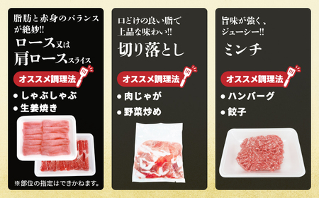 宮崎県産 豚肉 3種 セット (合計4.2kg) 国産 食品 切り落とし ロース 肩ロース スライス ミンチ しゃぶしゃぶ 生姜焼き 豚丼 ハンバーグ 餃子 ミートソース 個包装 小分け おすすめ おかず お弁当 晩ご飯 手軽 便利 ギフト 贈り物 冷凍 日南市 送料無料_D108-25