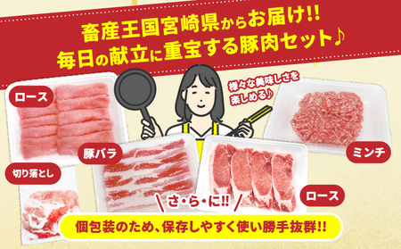 宮崎県産 豚肉 5種 セット (合計5kg) 国産 食品 ロース 豚バラ スライス 切り落とし ミンチ しゃぶしゃぶ 生姜焼き とんかつ ソテー 豚丼 ハンバーグ 餃子 個包装 小分け おすすめ おかず お弁当 晩ご飯 手軽 便利 ギフト 贈り物 冷凍 日南市 送料無料_DC33-25