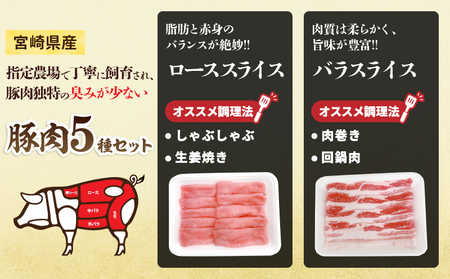 宮崎県産 豚肉 5種 セット (合計5kg) 国産 食品 ロース 豚バラ スライス 切り落とし ミンチ しゃぶしゃぶ 生姜焼き とんかつ ソテー 豚丼 ハンバーグ 餃子 個包装 小分け おすすめ おかず お弁当 晩ご飯 手軽 便利 ギフト 贈り物 冷凍 日南市 送料無料_DC33-25