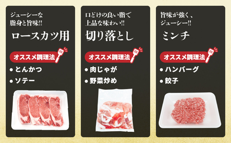 宮崎県産 豚肉 5種 セット (合計5kg) 国産 食品 ロース 豚バラ スライス 切り落とし ミンチ しゃぶしゃぶ 生姜焼き とんかつ ソテー 豚丼 ハンバーグ 餃子 個包装 小分け おすすめ おかず お弁当 晩ご飯 手軽 便利 ギフト 贈り物 冷凍 日南市 送料無料_DC33-25
