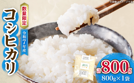 令和7年産 コシヒカリ 計800g お米 ご飯 ライス 国産 数量限定 人気 食品 精米 白米 こしひかり 有洗米 おにぎり お弁当 炊き込みご飯 雑炊 ギフト プレゼント 贈り物 お取り寄せ 産地直送 宮崎県 日南市 送料無料_ZV3-25