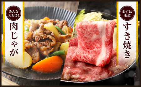 オンライン決済限定≪お歳暮・冬ギフト2025≫数量限定 宮崎牛 霜降り スライス 計500g 肉質等級4等級以上 牛肉 黒毛和牛 国産 食品 おかず 最高級 ブランド牛 すき焼き しゃぶしゃぶ 肉じゃが 人気 おすすめ 記念日 贈り物 お取り寄せ ミヤチク 宮崎県 日南市 送料無料_CA90-253