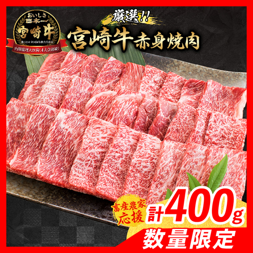 【7月配送】【畜産農家応援】数量限定 厳選 宮崎牛 赤身 焼肉 計500g_BBV9-25-07