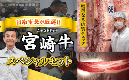 ≪年末年始限定≫日南市長厳選!! 宮崎牛 堪能 セット 合計15kg 期間限定 数量限定 肉 牛肉 ステーキ 焼肉 スライス すき焼き しゃぶしゃぶ ヒレ ロース バラ ウデ モモ 希少部位 大容量 黒毛和牛 国産 赤身肉 霜降り 食べ比べ 牛丼 おすすめ 宮崎県 送料無料_AR4-25