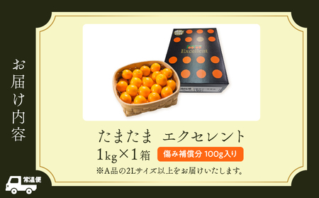 糖度18度以上!! 完熟きんかん たまたま エクセレント 計1kg 傷み補償分入り_CB115-25