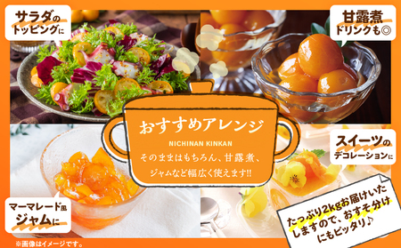 完熟きんかん 計3kg 期間限定 数量限定_BAV9-25