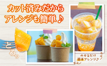 冷凍 カット マンゴー 計600g_CA94-25