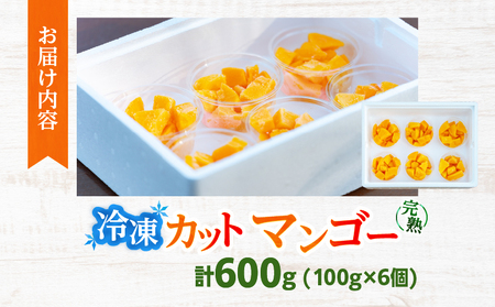 冷凍 カット マンゴー 計600g_CA94-25
