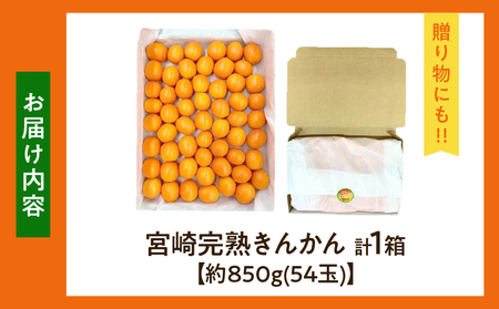 【1週間以内発送】ゴトウさんの 宮崎 完熟 きんかん 約850g(計54玉)_ZX12-25