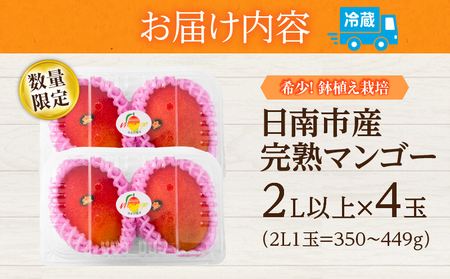 数量限定 希少 完熟マンゴー 鉢植え栽培 2L以上 × 4玉_FC16-25