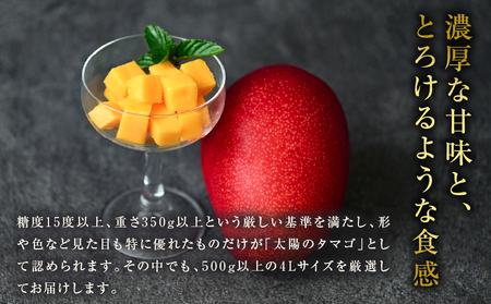 完熟マンゴー 太陽のタマゴ 4L × 2玉_IG5-25