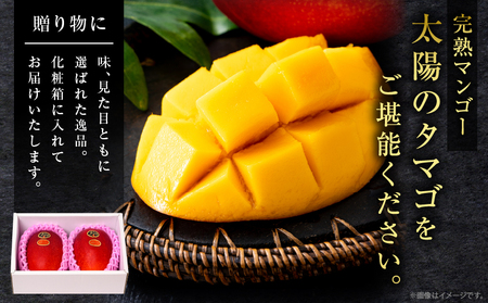 完熟マンゴー 太陽のタマゴ 4L × 2玉_IG5-25