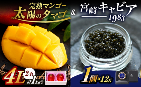 完熟マンゴー 太陽のタマゴ (4L×2玉) ＆ 宮崎キャビア1983 1個_LF1-25