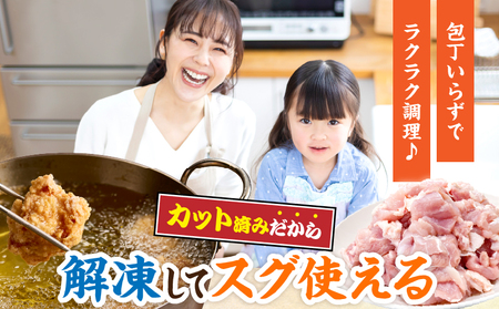 宮崎県産 若鶏 もも肉 カット 計1.7kg(340g×5パック)_AA73-25