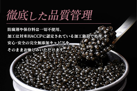 ≪数量限定≫1983 J.CAVIAR バエリ クラシック(20g)　キャビア　魚　魚介　国産 G52-22