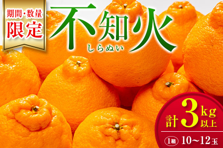 たっぷり果肉とジューシーな果汁!! 不知火 計3kg以上 化粧箱入り 期間限定 数量限定 先行予約 2026 令和8年発送 果物 くだもの 柑橘 みかん しらぬい デザート 国産 食品 おすすめ ギフト 贈り物 贈答 おすそ分け お祝い お返し 宮崎県 日南市 送料無料_BAV10-25