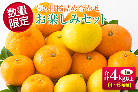 ≪数量限定≫旬の柑橘詰め合わせお楽しみセット(合計4kg以上)　フルーツ　果物　みかん　国産 BC80-23