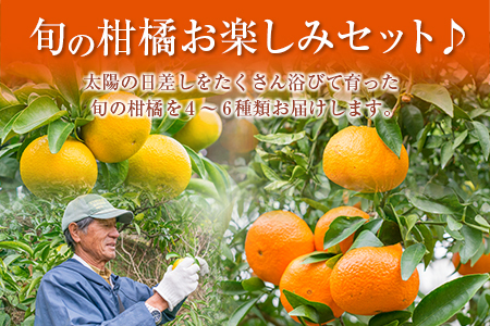 数量限定 旬の柑橘 詰め合わせ お楽しみ セット 合計4kg以上 4～6種類 フルーツ 果物 くだもの 柑橘 みかん オレンジ ポンカン スイートスプリング 不知火 日向夏 はるか 国産 食品 おすすめ デザート おやつ ギフト 贈り物 贈答 宮崎県 日南市 送料無料_BC80-23