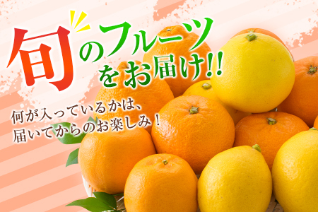 数量限定 旬の柑橘 詰め合わせ お楽しみ セット 合計4kg以上 4～6種類 フルーツ 果物 くだもの 柑橘 みかん オレンジ ポンカン スイートスプリング 不知火 日向夏 はるか 国産 食品 おすすめ デザート おやつ ギフト 贈り物 贈答 宮崎県 日南市 送料無料_BC80-23