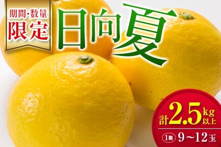 毎年大好評!!宮崎を代表するフルーツ 日向夏 計2.5kg以上 化粧箱入り 期間限定 数量限定 先行予約 2026 令和8年発送 果物 くだもの 柑橘 みかん みかんジュース デザート 国産 食品 おすすめ ギフト 贈り物 贈答 おすそ分け お祝い 宮崎県 日南市 送料無料_B214-23