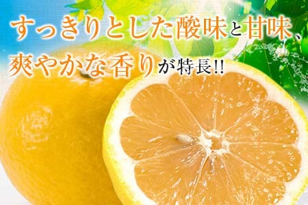 毎年大好評!!宮崎を代表するフルーツ 日向夏 計2.5kg以上 化粧箱入り 期間限定 数量限定 先行予約 2026 令和8年発送 果物 くだもの 柑橘 みかん みかんジュース デザート 国産 食品 おすすめ ギフト 贈り物 贈答 おすそ分け お祝い 宮崎県 日南市 送料無料_B214-23