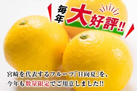 毎年大好評!!宮崎を代表するフルーツ 日向夏 計2.5kg以上 化粧箱入り 期間限定 数量限定 先行予約 2026 令和8年発送 果物 くだもの 柑橘 みかん みかんジュース デザート 国産 食品 おすすめ ギフト 贈り物 贈答 おすそ分け お祝い 宮崎県 日南市 送料無料_B214-23