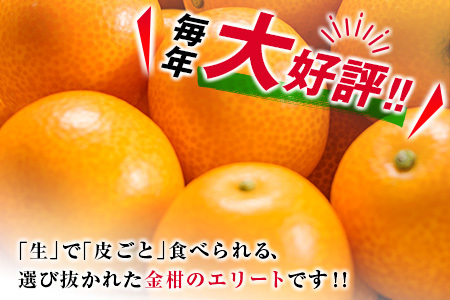 糖度16度以上 数量限定 完熟 きんかん たまたま 計1kg以上 傷み補償分付き フルーツ 果物 期間限定 ブランド 金柑 柑橘 国産 食品 人気  おすすめ A品 産地直送 ギフト 贈り物 贈答 プレゼント ご褒美 おすそ分け デザート 宮崎県 日南市 送料無料_B215-23 | 宮崎県日南市 