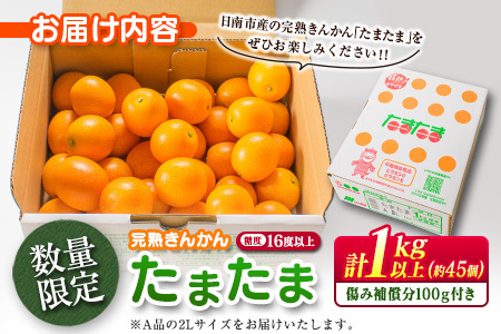 糖度16度以上 数量限定 完熟 きんかん たまたま 計1kg以上 傷み補償分付き フルーツ 果物 期間限定 ブランド 金柑 柑橘 国産 食品 人気  おすすめ A品 産地直送 ギフト 贈り物 贈答 プレゼント ご褒美 おすそ分け デザート 宮崎県 日南市 送料無料_B215-23 | 宮崎県日南市 