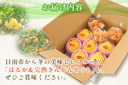 A37 期間 数量限定 爽やか柑橘 はるか 5 6玉 完熟きんかん 計750g 宮崎県日南市 ふるさと納税サイト ふるなび