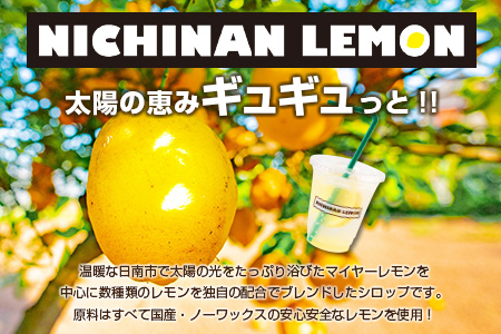 数量限定 日南レモンシロップ 2本 セット 500ml×2 レモン れもん 檸檬 柑橘 ジュース シロップ 飲料 国産 食品 人気 送料無料_CB80-23