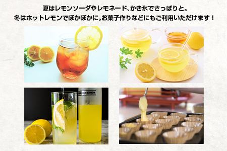 数量限定 日南レモンシロップ 2本 セット 500ml×2 レモン れもん 檸檬 柑橘 ジュース シロップ 飲料 国産 食品 人気 送料無料_CB80-23