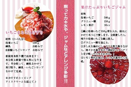 グランプリ受賞 数量限定 冷凍いちご シロップ付 計1kg+170g 【まるまるタイプ】 果物 くだもの フルーツ 苺 国産 自家製 スムージー イチゴジャム おやつ デザート 詰め合わせ 小分け 産地直送 おすそ分け 贈り物 ギフト 宮崎県 日南市 送料無料_BAV3-24