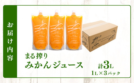 果汁 100％ まる搾り みかん ジュース 計3L 飲料 ソフトドリンク 果物 フルーツ 柑橘 シャーベット 国産 人気 おすすめ ギフト おすそ分け お土産 贈り物 お取り寄せ グルメ パウチ つぶつぶ入り 宮崎県 日南市 送料無料_BD62-22