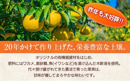 先行予約 訳あり 数量限定 海藻木酢 日向夏 小夏 計8kg以上 傷み補償分付き 期間限定 フルーツ 果物 くだもの 柑橘 みかん 訳アリ 国産 食品 デザート おやつ おすそ分け おすすめ ご家庭用 ご自宅用 B品 傷 マーマレード 産地直送 宮崎県 日南市 送料無料_BA80-24