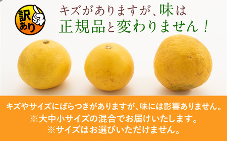 先行予約 訳あり 数量限定 海藻木酢 日向夏 小夏 計8kg以上 傷み補償分付き 期間限定 フルーツ 果物 くだもの 柑橘 みかん 訳アリ 国産 食品 デザート おやつ おすそ分け おすすめ ご家庭用 ご自宅用 B品 傷 マーマレード 産地直送 宮崎県 日南市 送料無料_BA80-24