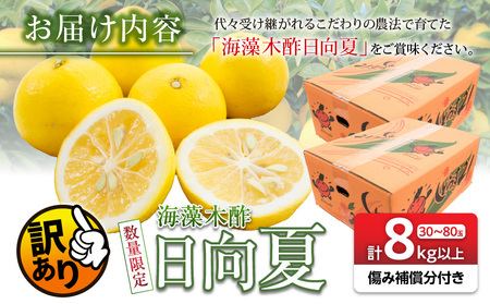 先行予約 訳あり 数量限定 海藻木酢 日向夏 小夏 計8kg以上 傷み補償分付き 期間限定 フルーツ 果物 くだもの 柑橘 みかん 訳アリ 国産 食品 デザート おやつ おすそ分け おすすめ ご家庭用 ご自宅用 B品 傷 マーマレード 産地直送 宮崎県 日南市 送料無料_BA80-24