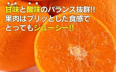 訳あり 津之輝 計3kg以上 先行予約 令和8年発送 期間限定 数量限定 国産 食品 果物 くだもの フルーツ 柑橘 みかん 不揃い S M L 混合 傷 わけあり デザート おやつ ジュース 家庭用 おすそ分け おすすめ つのかがやき 濃厚 常温 宮崎県 日南市 送料無料_BA68-23
