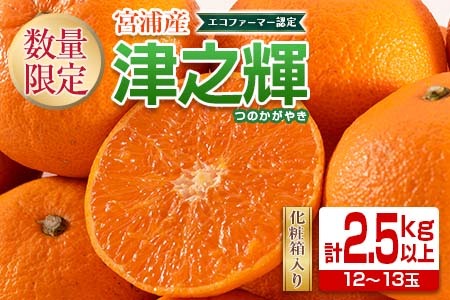 ≪数量限定≫津之輝(計2.5kg以上) フルーツ 果物 柑橘 みかん 国産
