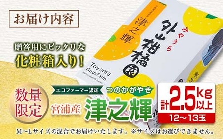 津之輝 計2.5kg以上 化粧箱入り 先行予約 令和8年発送 期間限定 数量限定 国産 食品 果物 くだもの フルーツ 柑橘 みかん 蜜柑 M L 混合 デザート おやつ ジュース おすすめ プレゼント ギフト 贈答 贈り物 つのかがやき 濃厚 常温 宮崎県 日南市 送料無料_BA69-23