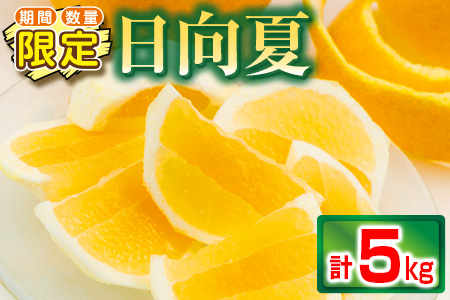 B124 期間 数量限定 南国フルーツ 日向夏 計5kg 宮崎県日南市 ふるさと納税サイト ふるなび