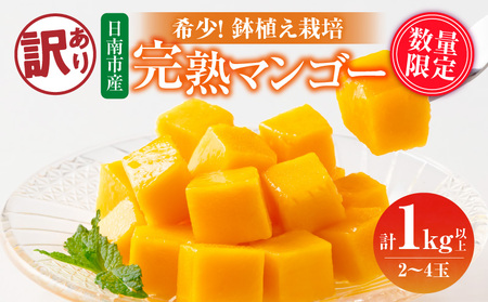 訳あり 数量限定 希少 完熟 マンゴー 鉢植え栽培 計1kg以上_CB95-24