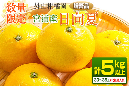 オンライン決済限定 先行予約 宮浦産 日向夏 計5kg以上 化粧箱入り 期間限定 数量限定 フルーツ 果物 くだもの 柑橘 みかん 令和8年発送 国産 産地直送 新鮮 食品 ジュース デザート おやつ ギフト 贈り物 贈答 お返し お礼 手土産 ご褒美 おすそ分け 宮崎県 日南市 送料無料_BB165-25