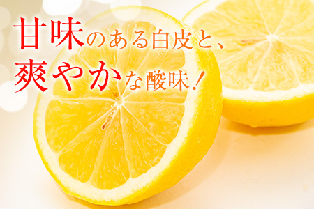 ≪数量限定≫宮浦産日向夏(計5kg以上) フルーツ 果物 柑橘 みかん 国産