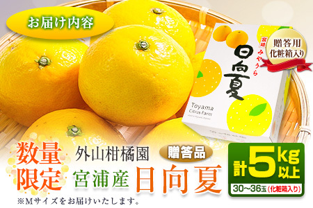 オンライン決済限定 先行予約 宮浦産 日向夏 計5kg以上 化粧箱入り 期間限定 数量限定 フルーツ 果物 くだもの 柑橘 みかん 令和8年発送 国産 産地直送 新鮮 食品 ジュース デザート おやつ ギフト 贈り物 贈答 お返し お礼 手土産 ご褒美 おすそ分け 宮崎県 日南市 送料無料_BB165-25