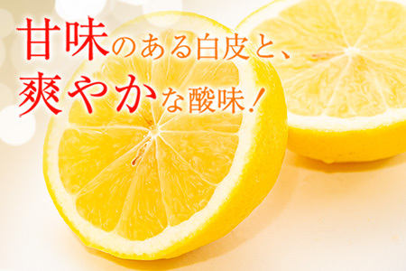 訳あり≪数量限定≫宮浦産日向夏(計10kg以上) フルーツ 果物 柑橘