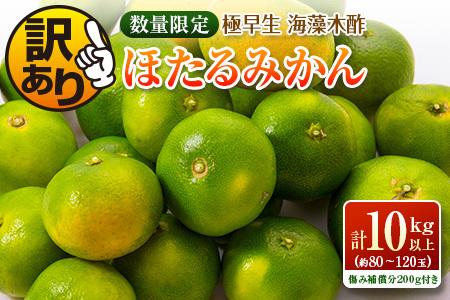 訳あり≪数量限定≫極早生『海藻木酢ほたるみかん』(計10kg以上)傷み補償分200g付き フルーツ 果物 柑橘 国産 B204-22