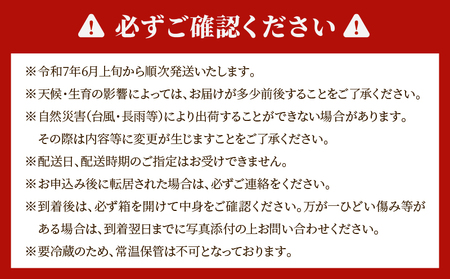 数量限定 糖度15度以上 南国 宮崎 完熟 マンゴー 2L 2玉 期間限定 フルーツ 贅沢 果物 果汁 芳醇 上質 濃厚 ジューシー 食品 デザート おやつ ご褒美 高糖度 国産 産地直送 おすすめ お取り寄せ グルメ 贈り物 お土産 特産品 宮崎県 日南市 送料無料_BD73-23